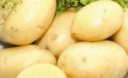 Description and characteristics of the La Perla potato variety