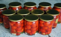 Top 15 der köstlichsten Rezepte für Tomatenkonserven: Wie man Tomaten für den Winter in Gläsern salzt