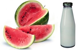 Wassermelonenverträglichkeit mit Milch und anderen Produkten