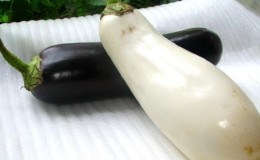 Wat zijn witte aubergines en hoe ze verschillen van gewone