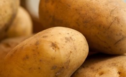 Beware, terrible gluten: is it in potatoes or not