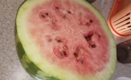 Was bedeuten die weißen Streifen in der Wassermelone und welche anderen Zeichen sollten Sie alarmieren?