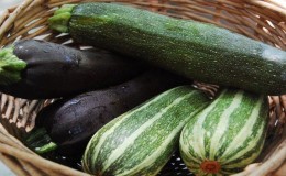 Was und wie man Zucchini lange aufbewahrt - wir schaffen ideale Bedingungen