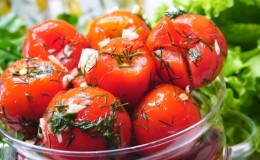 Recipes of lightly salted instant tomatoes: top of the most delicious ways, tips and tricks