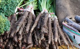 Was ist schwarzer Karottensaft: Anbau, Zubereitung und Anwendung