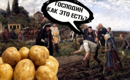 The history of the origin and distribution of potatoes: where the potatoes come from and how they gained their popularity