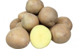 What is the good potato variety Kolobok and why gardeners love it so much