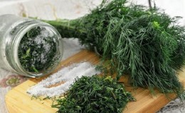 So salzen Sie Dill für den Winter in Gläsern: einfache Rezepte von erfahrenen Hausfrauen