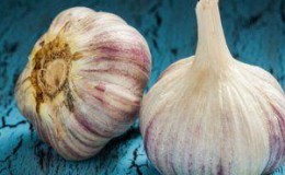 Wir untersuchen das Problem gründlich: Knoblauch färbt sich im Frühjahr gelb - was zu tun ist und wie Sie es verhindern können