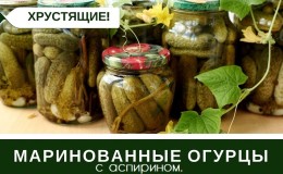 Как да приготвите кисели краставици с аспирин е проста и вкусна: 7 най-добри рецепти