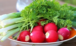 Welke vitamines zitten er in radijs en hoe zijn ze nuttig voor de gezondheid