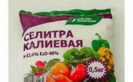 Tại sao kali nitrat lại hữu ích cho dưa chuột trong thời kỳ đậu quả và cách sử dụng nó đúng cách