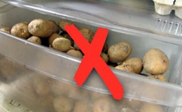 How to store potatoes in the refrigerator and is it possible to do so