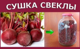 Интересна подготовка за зимата: съхраняваме изсушено цвекло правилно заедно с върховете и ги използваме при готвене