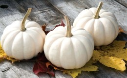 How, apart from color, does a white pumpkin differ from the rest?