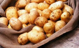 What is missing in the body if you constantly want potatoes