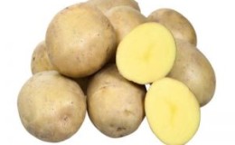 Medium early potato variety 