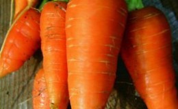 Rujukan Carrot pelbagai Carotel