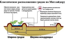 Sadnja i uzgoj krumpira po Mittliderovoj metodi za visoke prinose