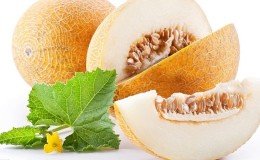 Melon là một loại quả mọng, trái cây hoặc rau