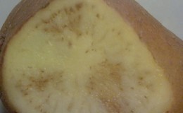 What to do if there are brown streaks inside the potato