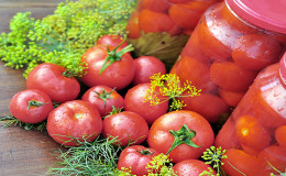 How delicious and unusual to prepare pink tomatoes for the winter - a selection of the best recipes