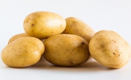 High-yielding Farmer potato variety requiring minimal maintenance