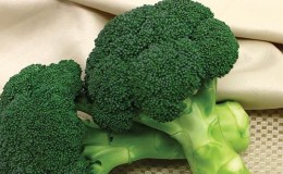 Broccoli buiten planten en verzorgen