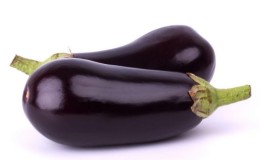 Wärmeliebende Hybride der Aubergine 