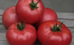 Top 15 zoetste tomatensoorten voor kassen: een overzicht van het beste en hulp bij het kiezen van het juiste type