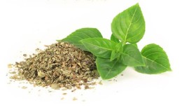 Cara menyediakan basil dengan betul untuk musim sejuk di rumah dengan cara yang berbeza