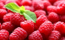 Cara mengeringkan beri dan daun raspberry di rumah