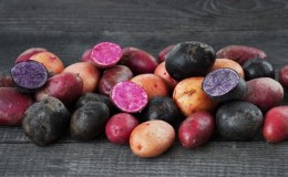 Amazing colored potatoes: varieties of varieties and their beneficial properties