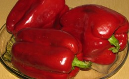 A hibrid paprika 