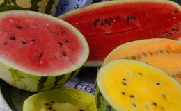 Die köstlichsten Sorten von Wassermelonen: Beschreibung und Eigenschaften