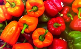 Wo und wie man Paprika für den Winter aufbewahrt: frisch, gefroren, getrocknet, getrocknet und in Dosen