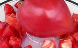 Eine früh reife Hybridsorte sibirischer Züchter - die Obskie Kupola-Tomate und Bewertungen von Sommerbewohnern über diese Tomaten