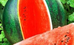 Wie man eine Wassermelone bis zum neuen Jahr im Keller hält - 7 beste Möglichkeiten