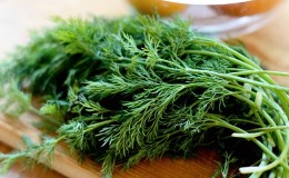 Ist es möglich, Dill gegen Gastritis zu essen und wie man ihn in Rezepten der traditionellen Medizin verwendet?