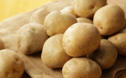 Medium early potato variety 