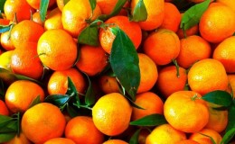 Koja je razlika između Clementine i mandarina i koja je zdravija