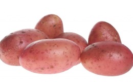 Mid-season potato variety Ryabinushka with pinkish peel