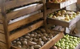 How to store potatoes in the same cellar with apples and is it possible to do so