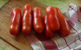 What will pleasantly surprise you with an unusual-looking tomato 