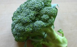 Broccoli Green Magic F1: mô tả, tính năng trồng trọt, đánh giá