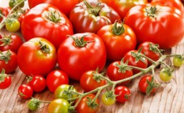 Warum Tomaten schädlich und nützlich für den Menschen sind