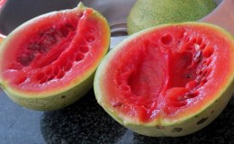 Ist es möglich, überreife Wassermelone zu essen und was daraus zu kochen ist?