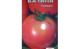 Classic heart-shaped pink tomato 