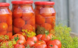 Tomaten in blik voor de winter: een selectie van de beste recepten en handige tips voor het correct bereiden van wendingen