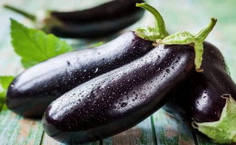 Is it possible to have eggplants with pancreatitis or not: rules and norms of use, acceptable recipes